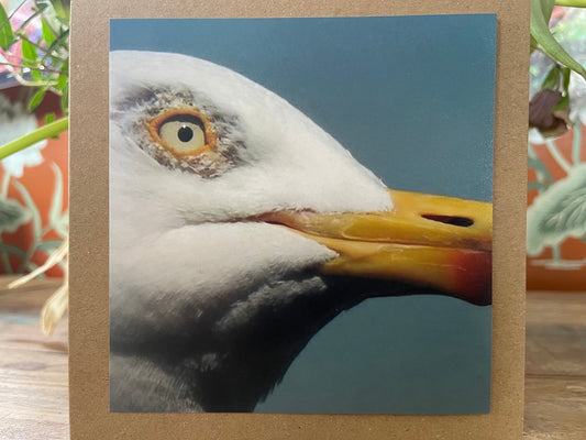 A seagull came to tea! Greetings card, birthday card, birthday, recycled card, thank you card, gift card, bird, Blank card, Handmade card