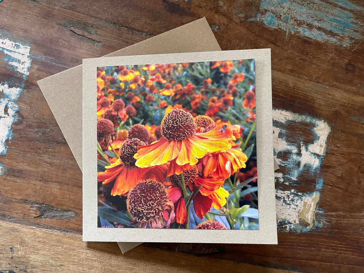 Flower card, handmade card for her. Recycled card, boho eco friendly card. Thank you card for gardener, gift for her, echinacea card