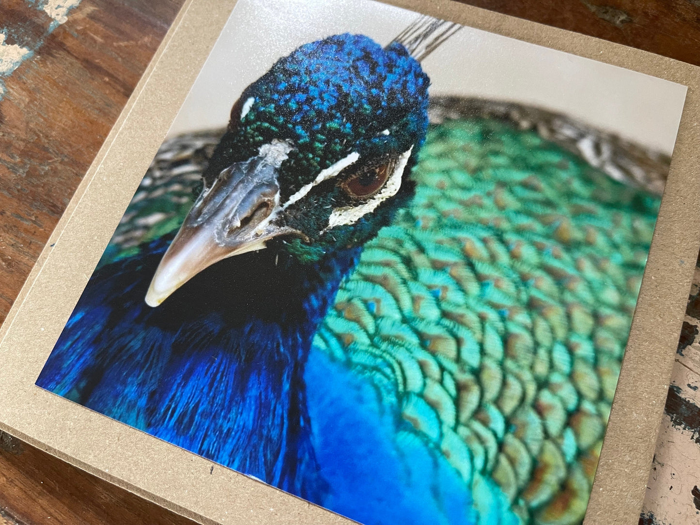 Peacock card, recycled card, birthday card, recycled card. Eco friendly card. Handmade card. Unusual thank you card, bird card, nature cards