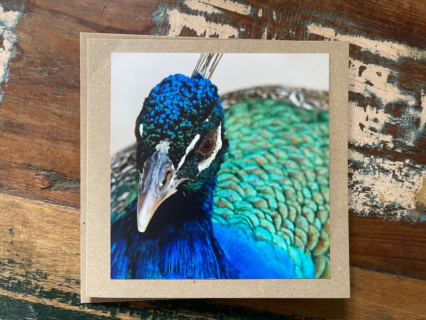 Peacock card, recycled card, birthday card, recycled card. Eco friendly card. Handmade card. Unusual thank you card, bird card, nature cards