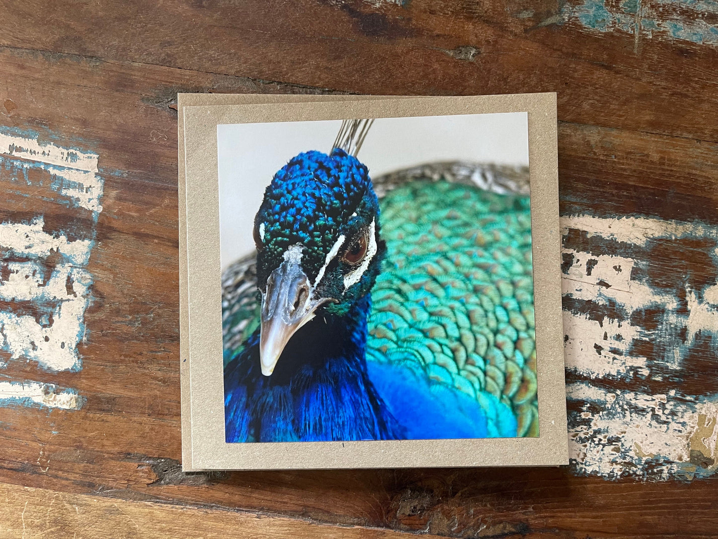Peacock card, recycled card, birthday card, recycled card. Eco friendly card. Handmade card. Unusual thank you card, bird card, nature cards