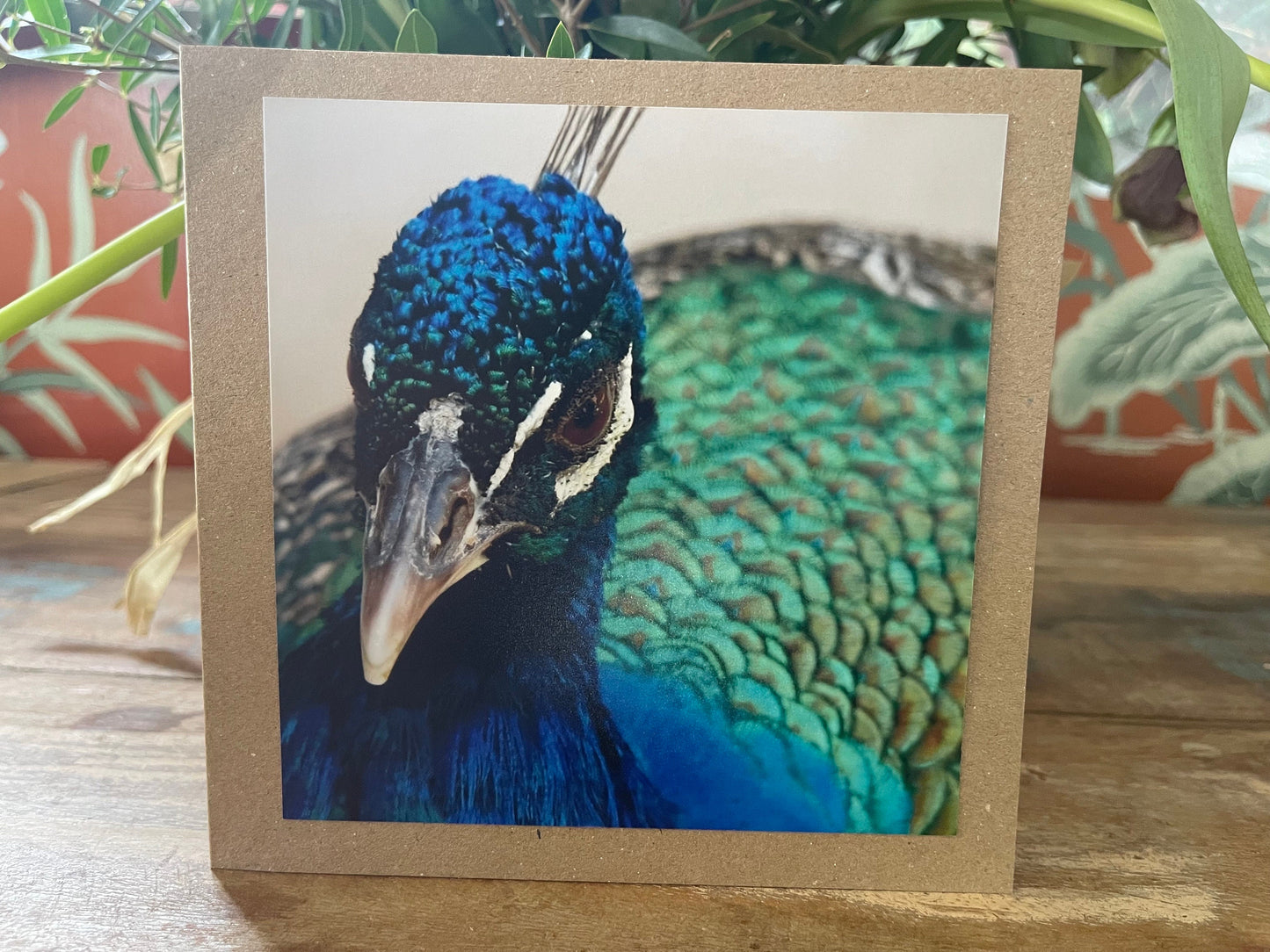 Peacock card, recycled card, birthday card, recycled card. Eco friendly card. Handmade card. Unusual thank you card, bird card, nature cards