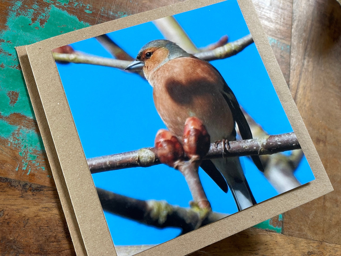 Recycled card, chaffinch card, bird card, handmade wildlife card, sympathy card, birthday card, eco friendly card, finch card, photo card