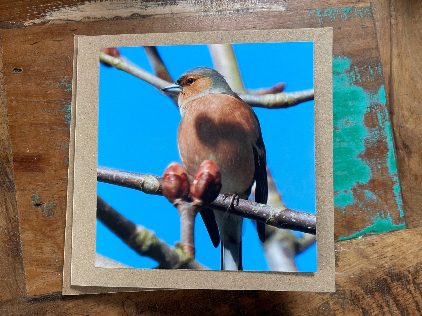 Recycled card, chaffinch card, bird card, handmade wildlife card, sympathy card, birthday card, eco friendly card, finch card, photo card