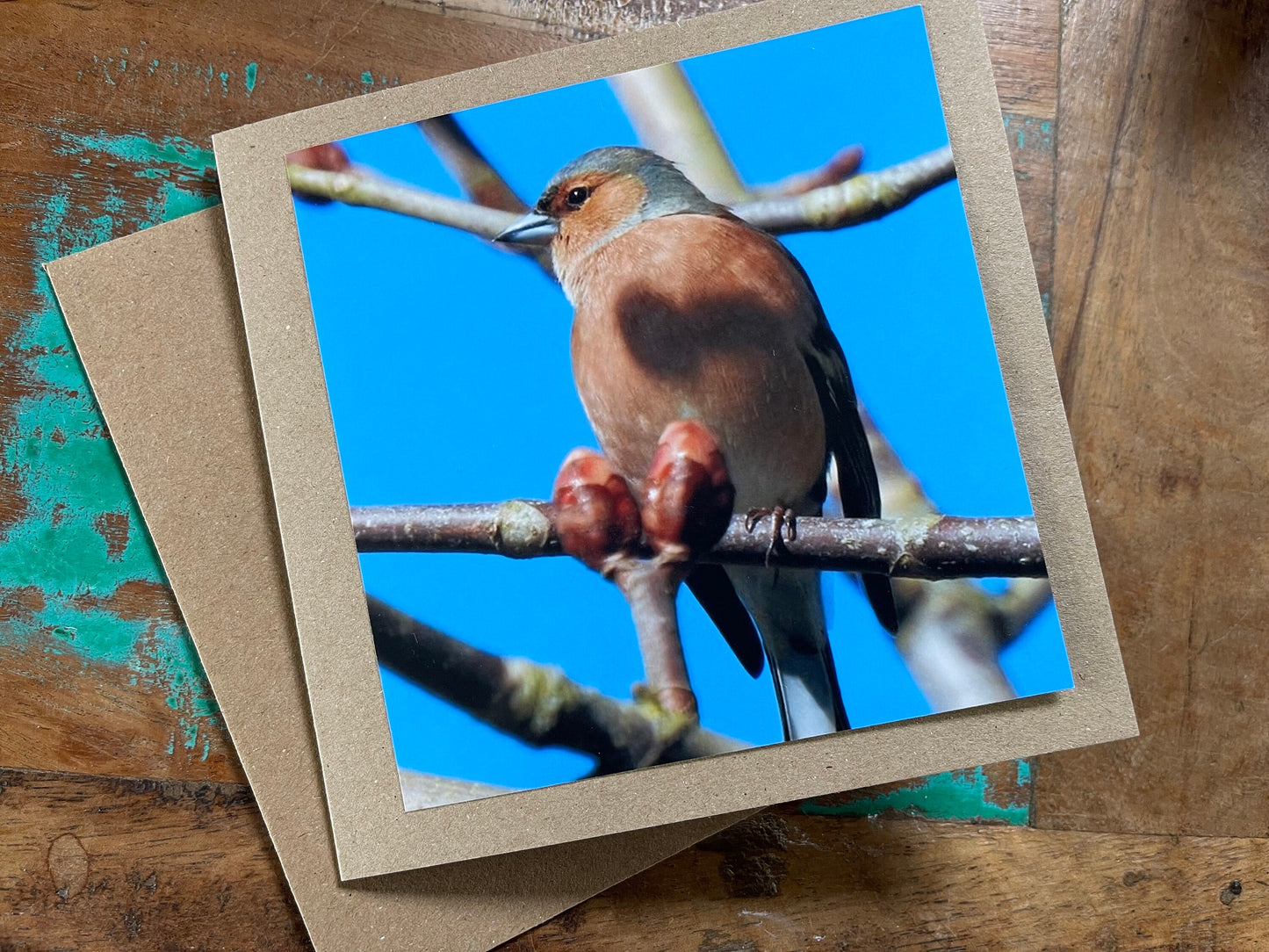 Recycled card, chaffinch card, bird card, handmade wildlife card, sympathy card, birthday card, eco friendly card, finch card, photo card