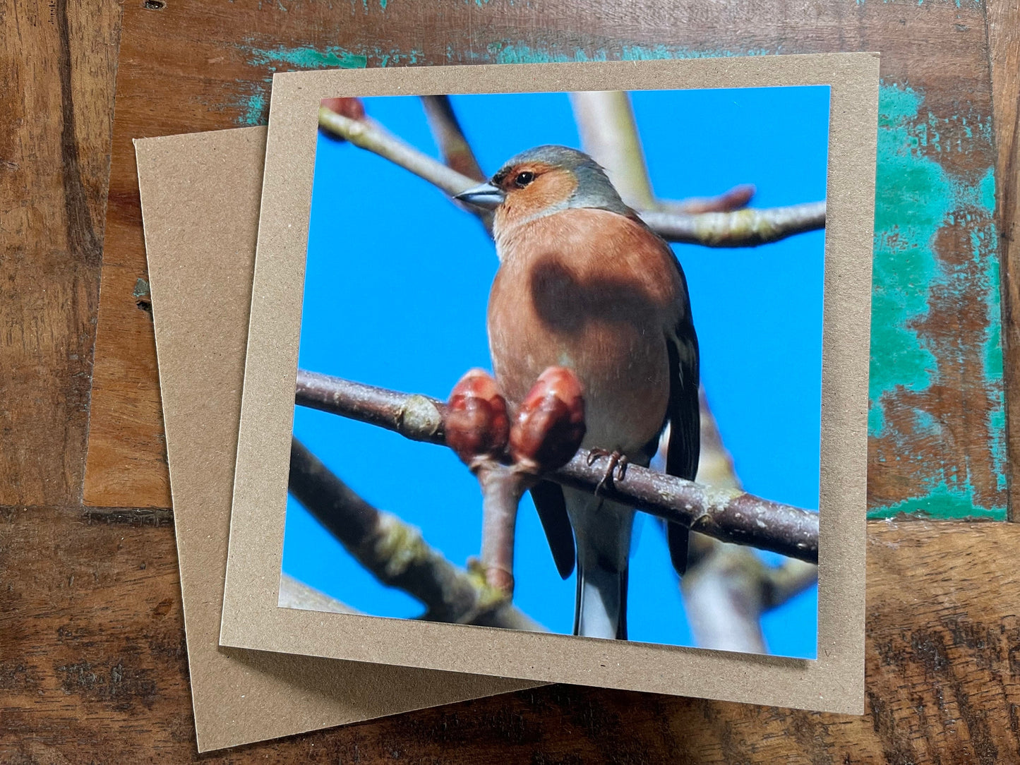 Recycled card, chaffinch card, bird card, handmade wildlife card, sympathy card, birthday card, eco friendly card, finch card, photo card