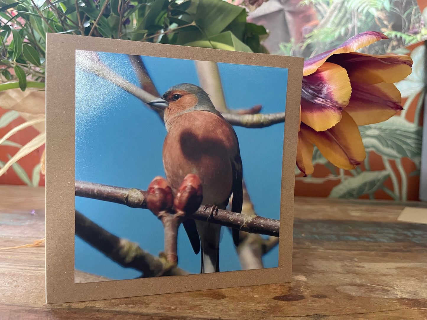 Recycled card, chaffinch card, bird card, handmade wildlife card, sympathy card, birthday card, eco friendly card, finch card, photo card