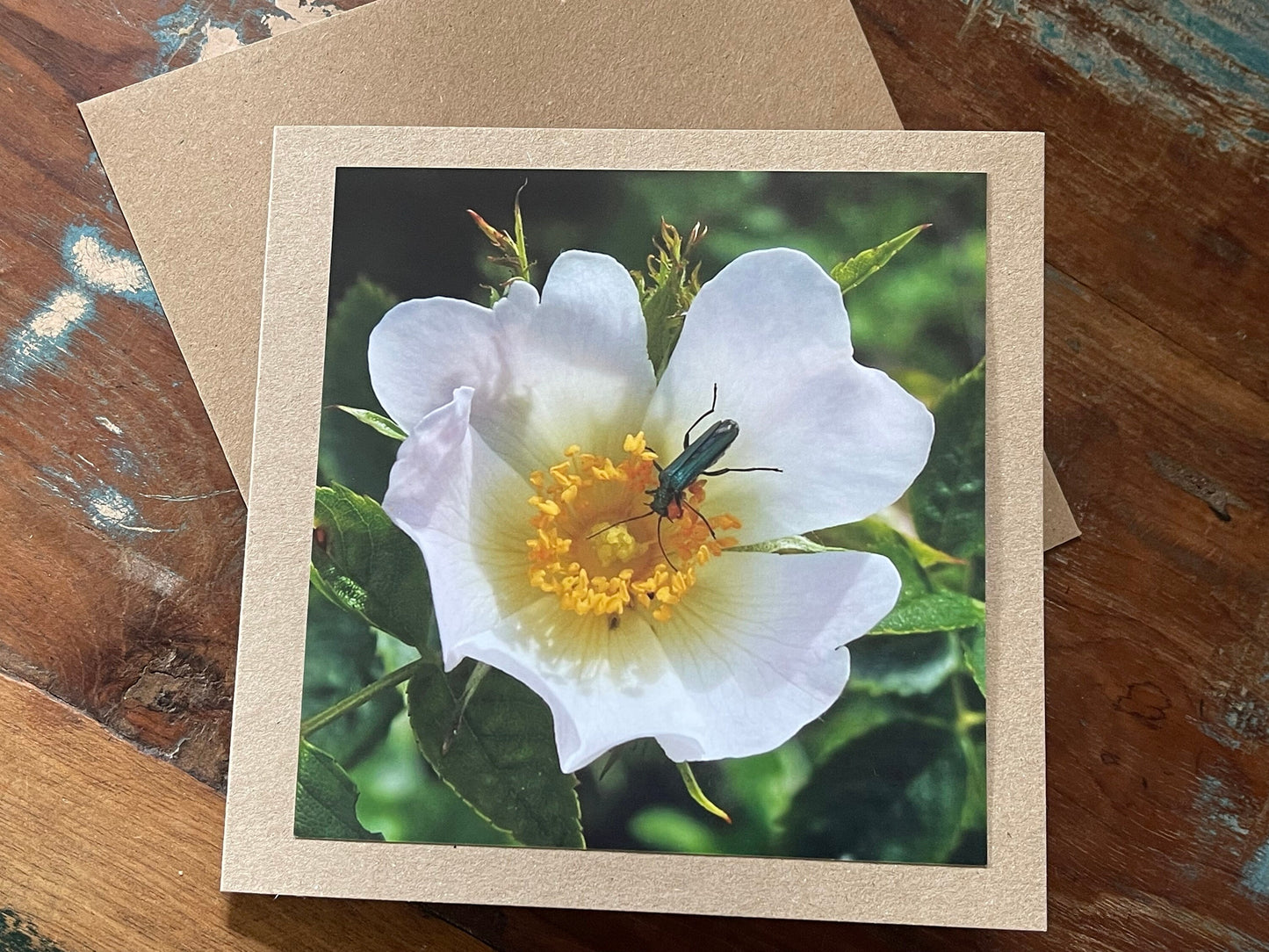 Flower card, recycled card, birthday card. Eco friendly card. Handmade card. Thank you card, blank gift card, English nature card, gift card