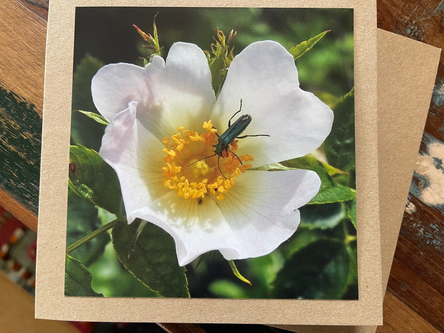 Flower card, recycled card, birthday card. Eco friendly card. Handmade card. Thank you card, blank gift card, English nature card, gift card