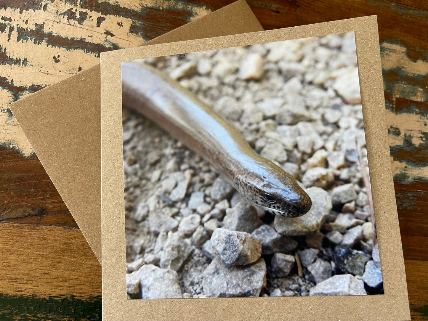 Slow worm card, recycled card, birthday card, wildlife card. Eco friendly card. Handmade card. Unusual card, Thank you card, snake card