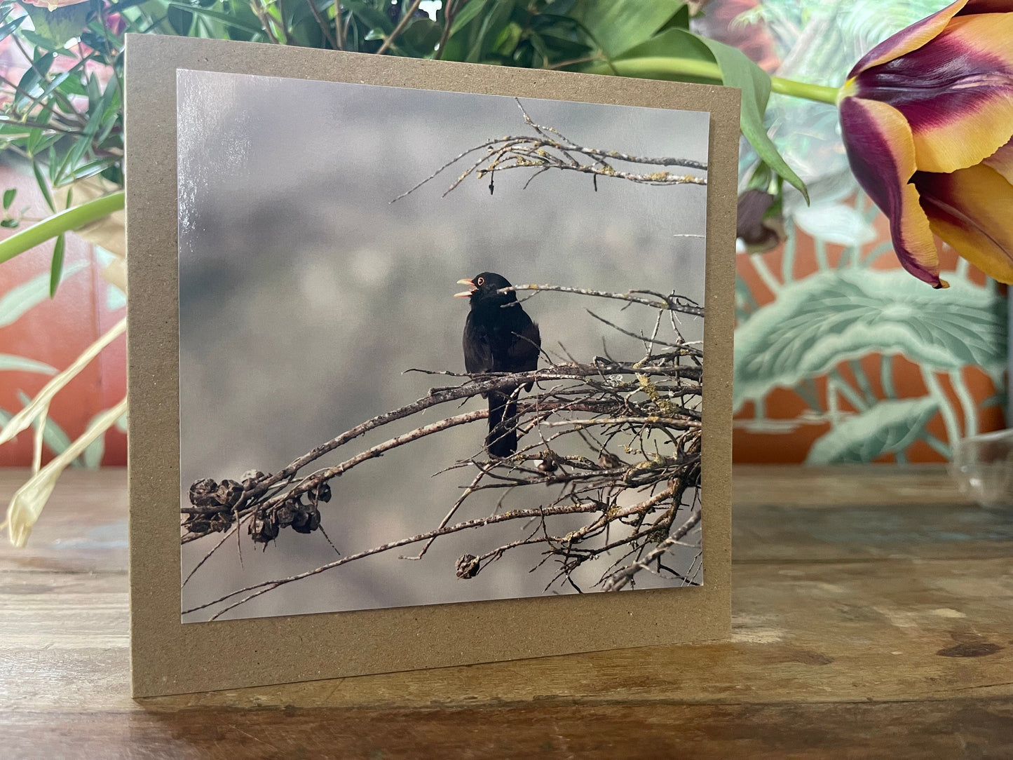 Blackbird card, recycled card, birthday card, English bird card. Eco friendly card. Handmade card. Unusual Thank you card, blank gift card