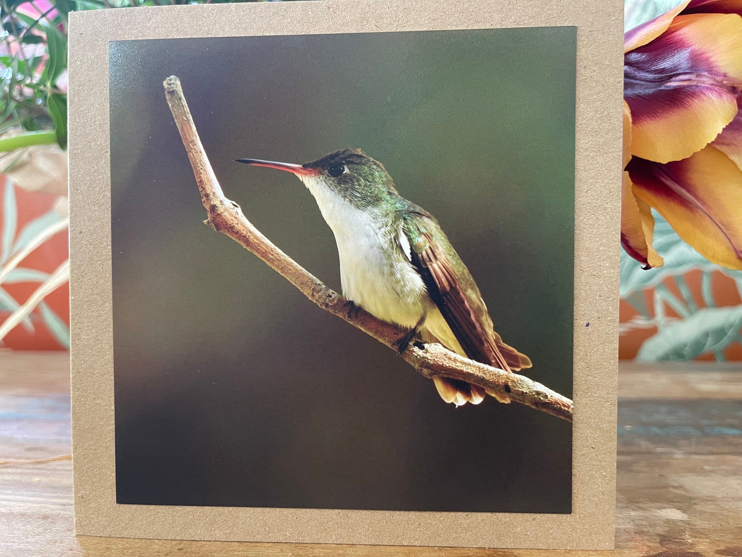 Hummingbird card, recycled card, birthday card, recycled card. Eco friendly card. Handmade card. Unusual Thank you card, blank gift card