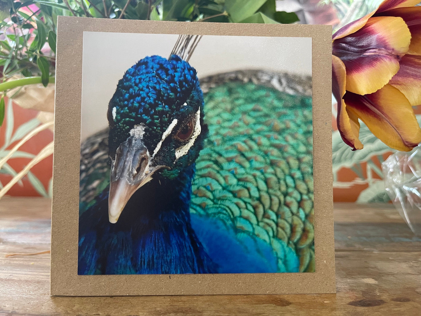Peacock card, recycled card, birthday card, recycled card. Eco friendly card. Handmade card. Unusual thank you card, bird card, nature cards