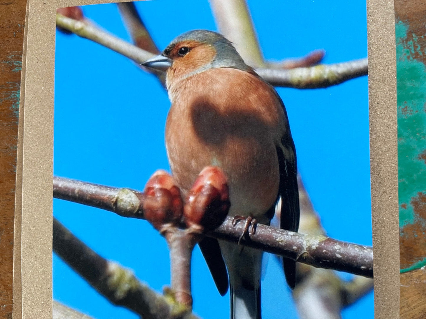 Recycled card, chaffinch card, bird card, handmade wildlife card, sympathy card, birthday card, eco friendly card, finch card, photo card