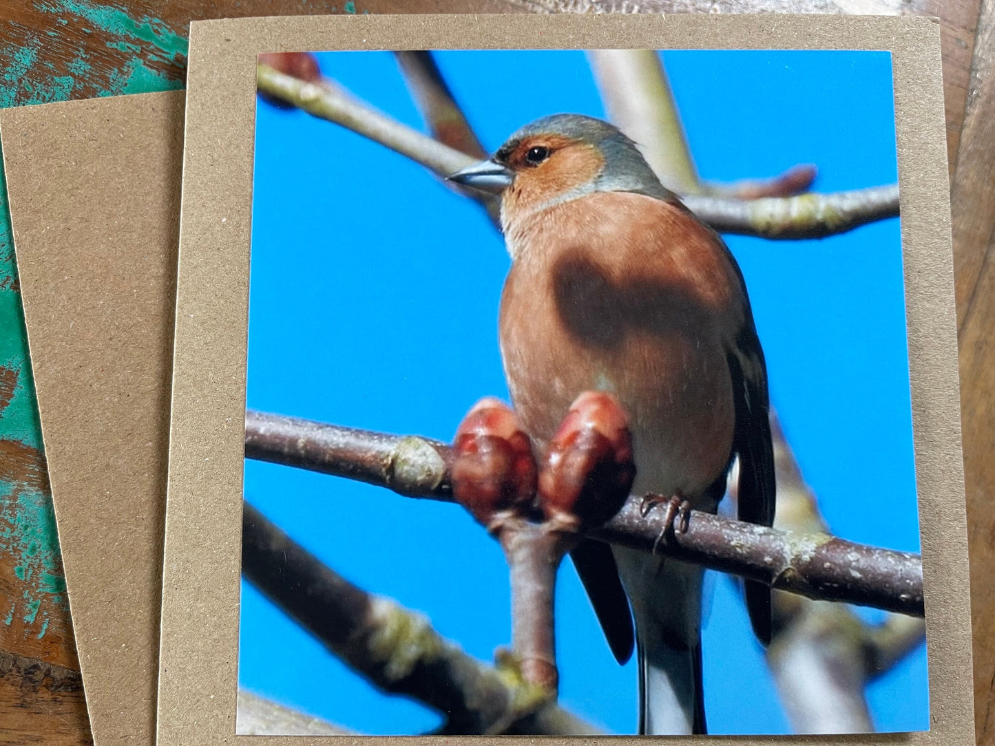 Recycled card, chaffinch card, bird card, handmade wildlife card, sympathy card, birthday card, eco friendly card, finch card, photo card