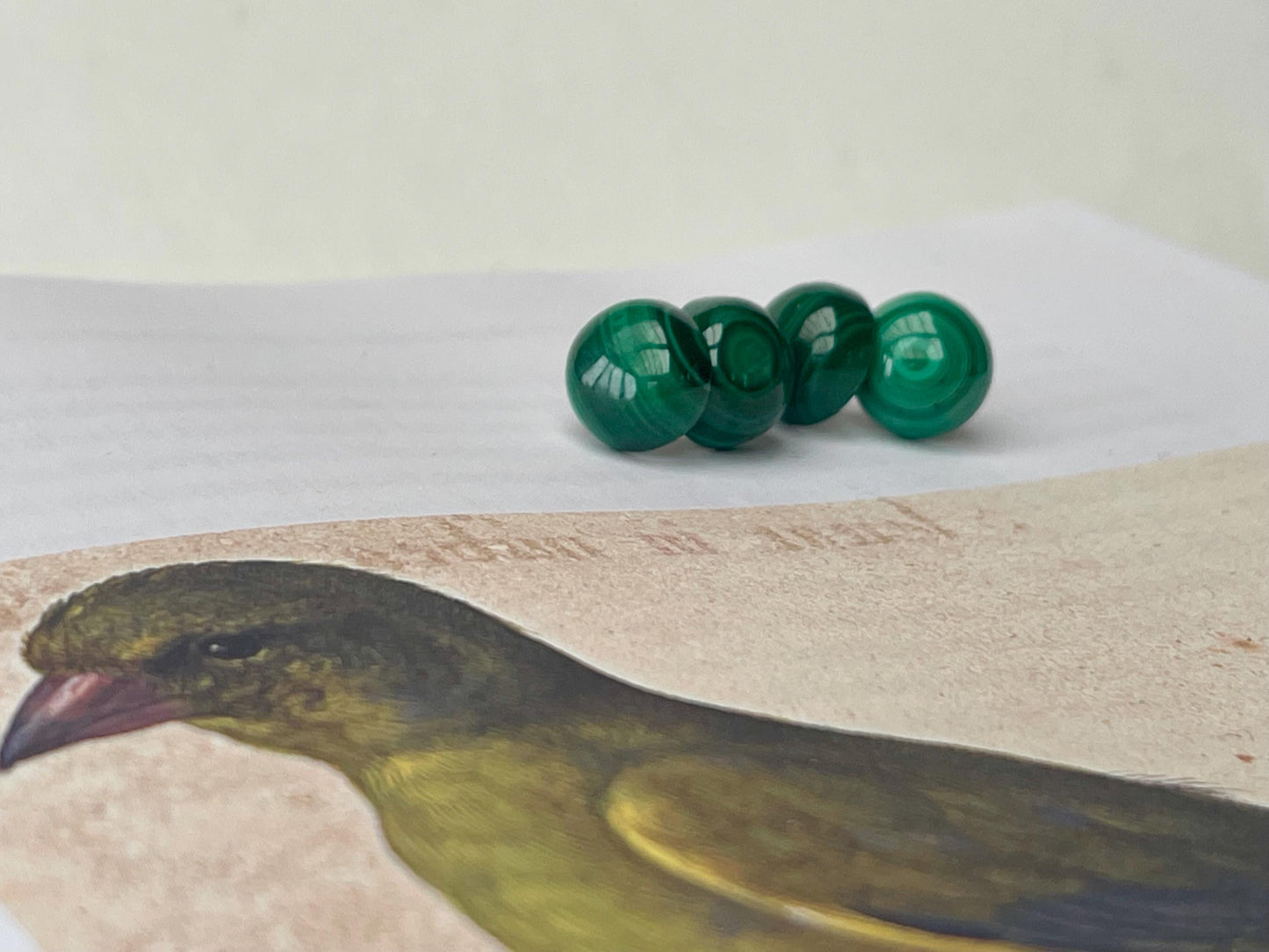 Ethically courses malachite earrings. Green stud earrings, ethical jewellery, malachite jewellery. Boho stud earrings, gift for her