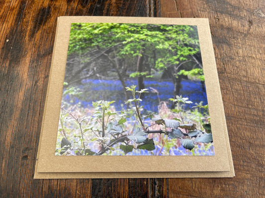 Bluebell woods :) Handmade card, recycled card. Get well soon card. Eco friendly card, boho card, rustic card, condolence card.