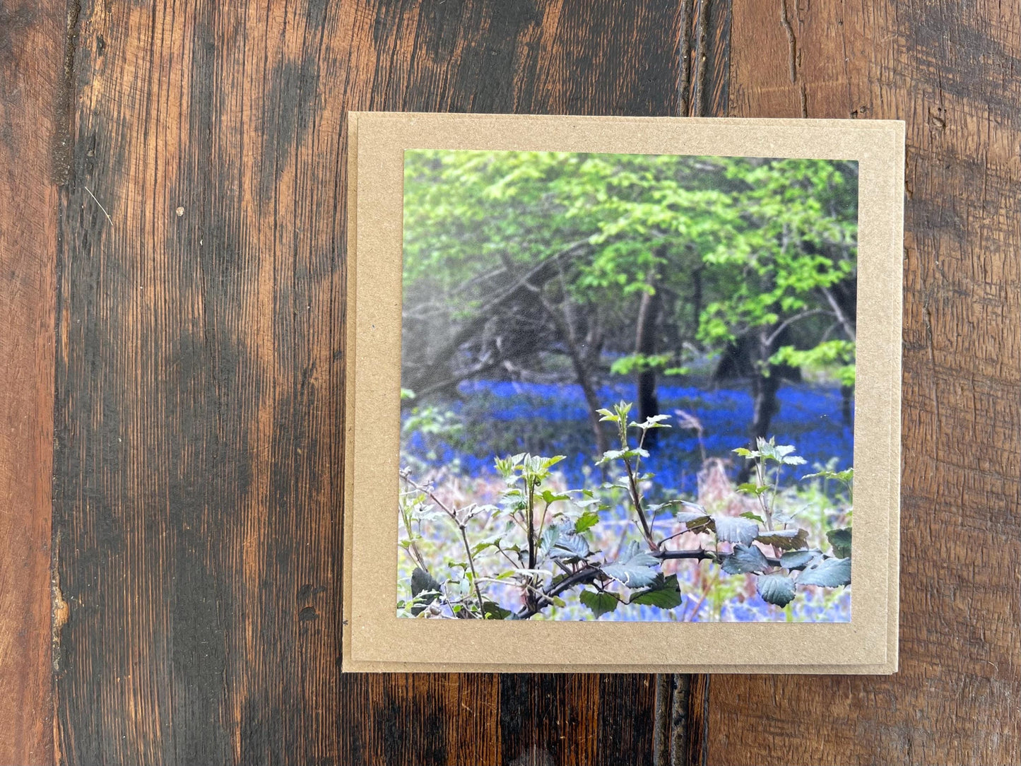 Bluebell woods :) Handmade card, recycled card. Get well soon card. Eco friendly card, boho card, rustic card, condolence card.