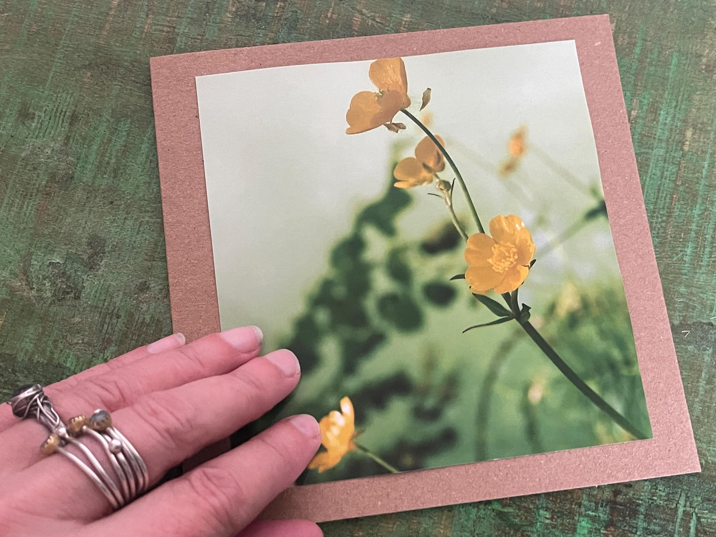 Natural photography card, recycled card, birthday card, wildlife card. Eco friendly card. Handmade card. Buttercup card, Thank you card.