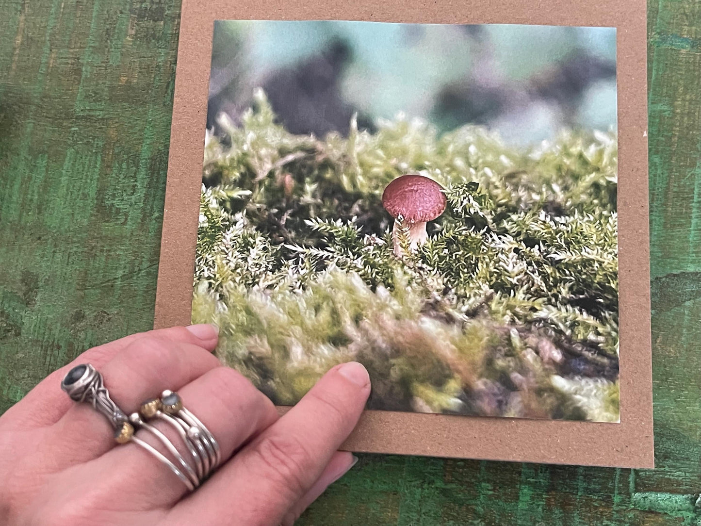 Wildlife photography card, recycled card, birthday card, wildlife card. Eco friendly card. Handmade card. Mushroom card, Thank you card.