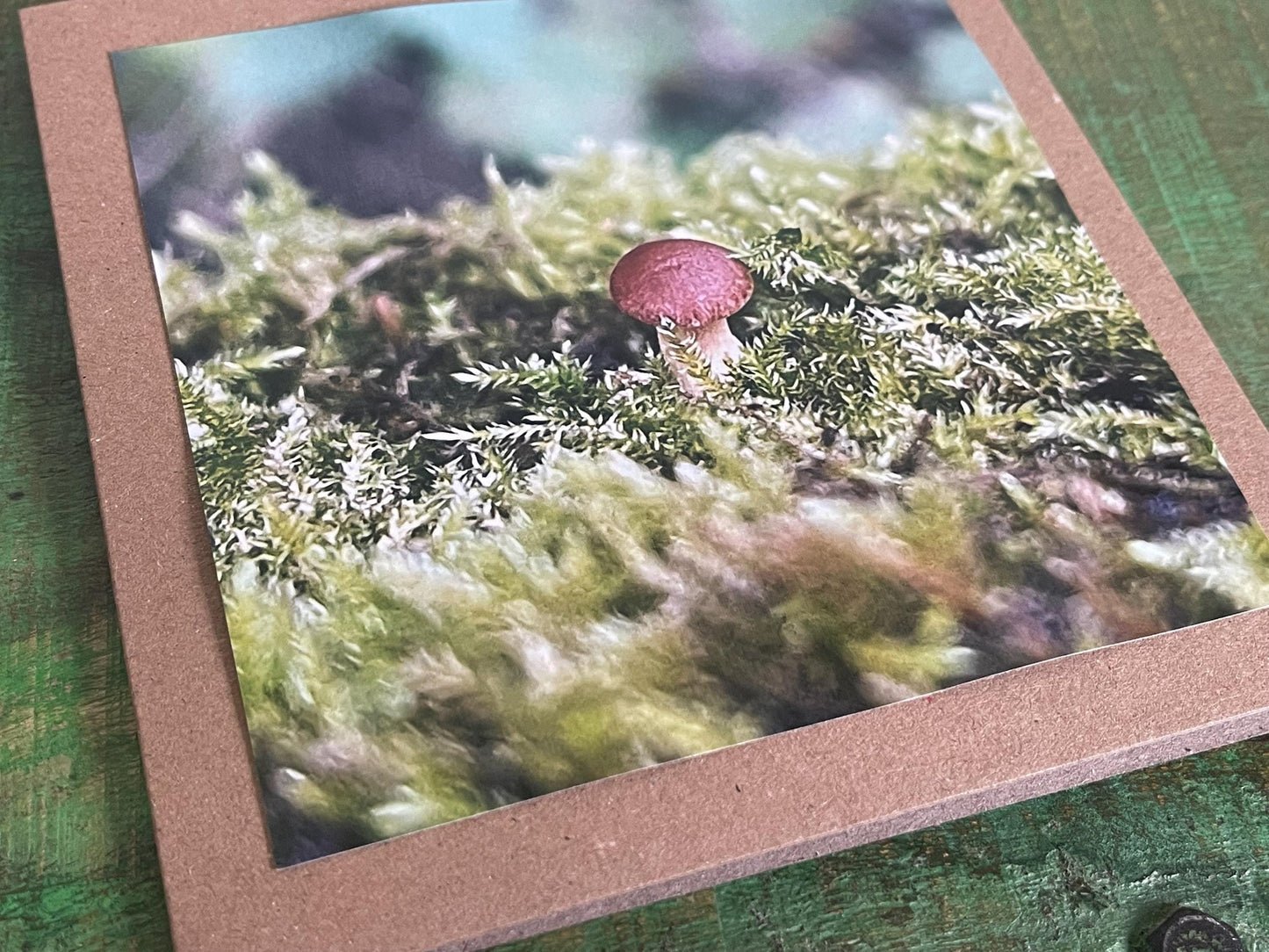 Wildlife photography card, recycled card, birthday card, wildlife card. Eco friendly card. Handmade card. Mushroom card, Thank you card.