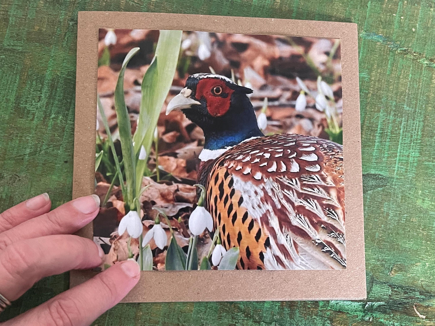 Pheasant card, recycled card, birthday card, English bird card. Eco friendly card. Handmade card. Unusual Thank you card, blank gift card