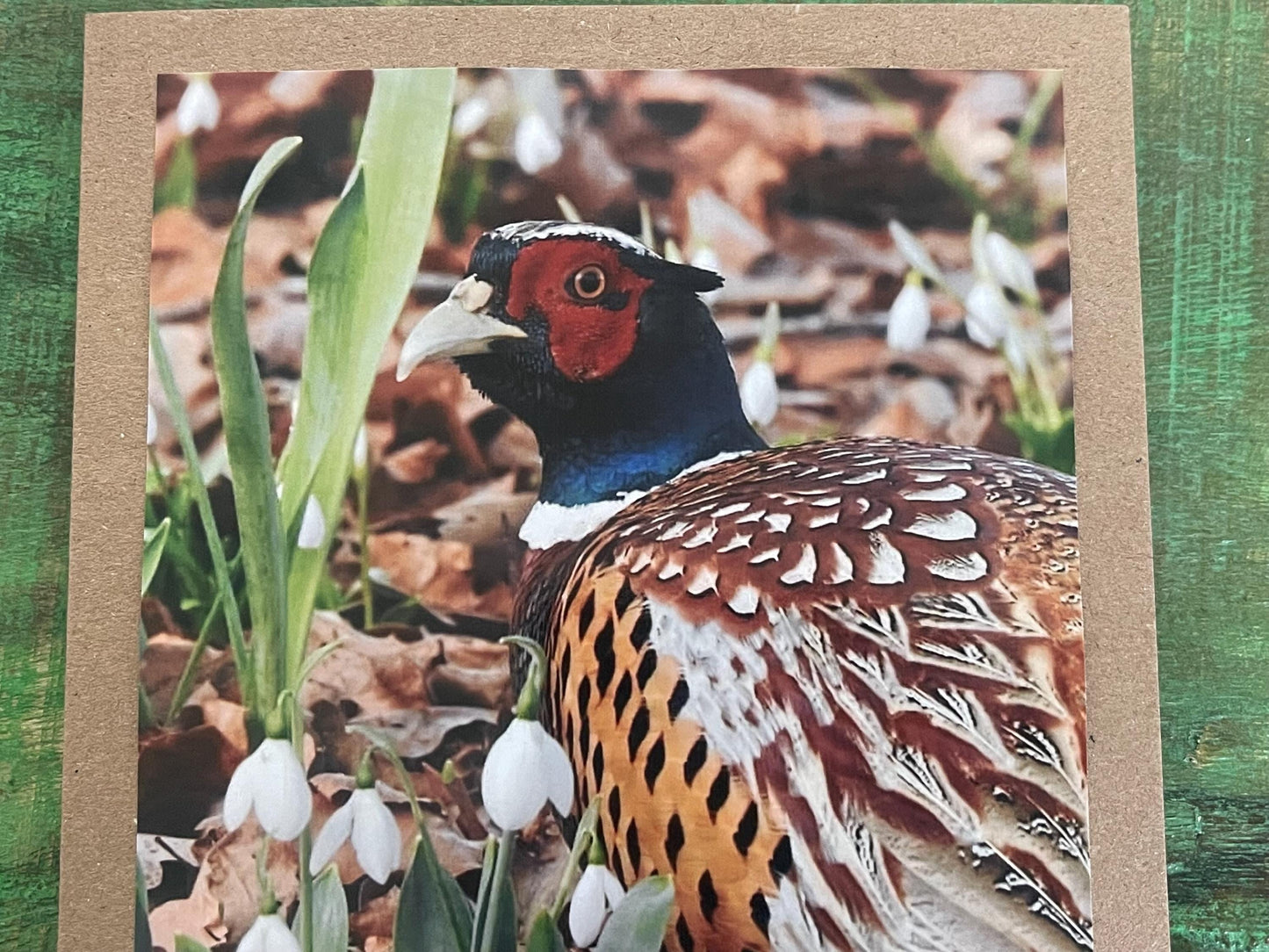 Pheasant card, recycled card, birthday card, English bird card. Eco friendly card. Handmade card. Unusual Thank you card, blank gift card