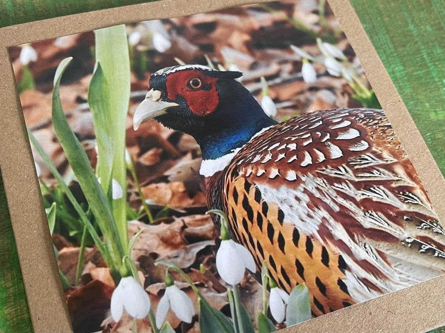 Pheasant card, recycled card, birthday card, English bird card. Eco friendly card. Handmade card. Unusual Thank you card, blank gift card