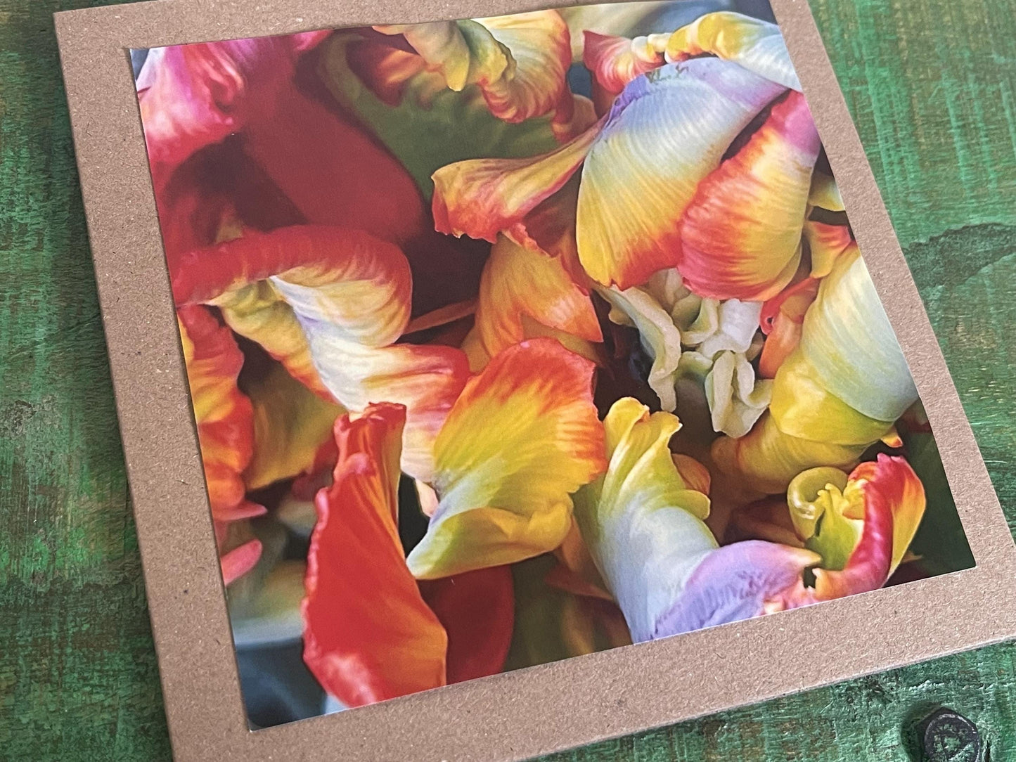 Flower card, handmade card for her. Recycled card, boho eco friendly card. Thank you card for gardener, gift for her, echinacea card