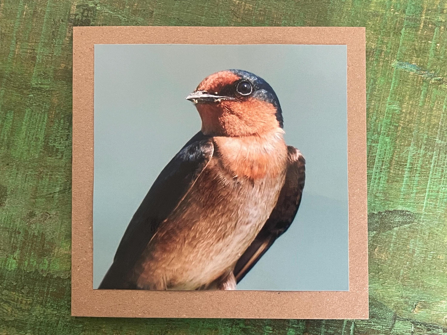 Wildlife photography card, birthday card, bird card. Eco friendly card. Handmade card.  Thank you card, blank card. Bird photo. Ethical card