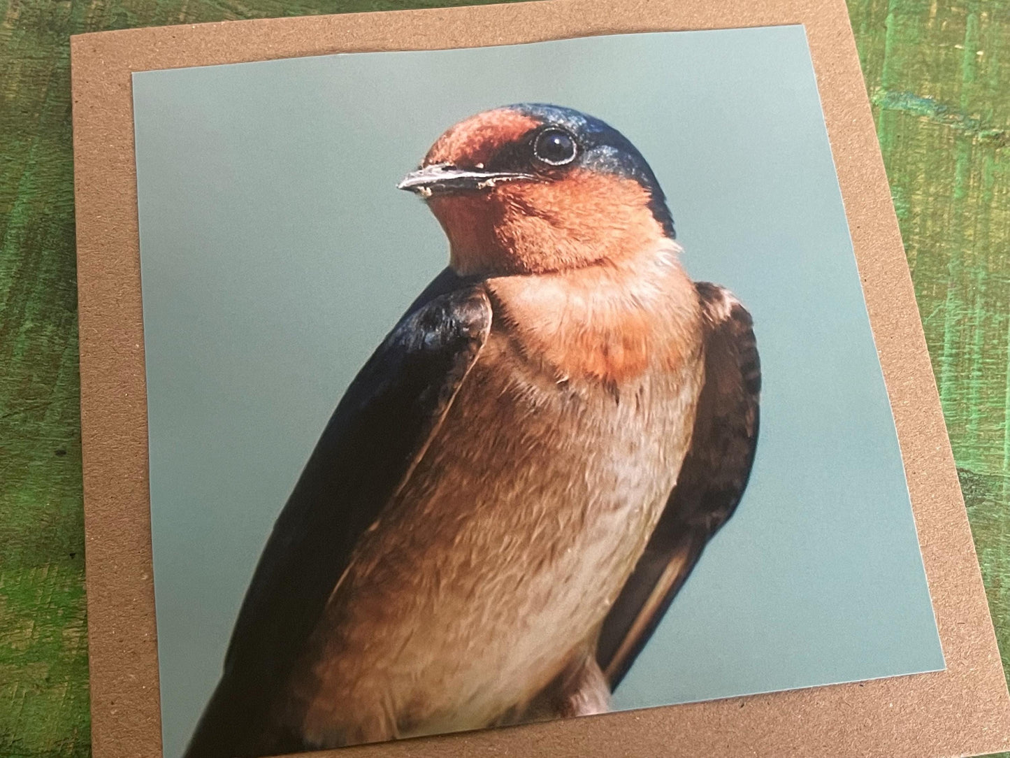 Wildlife photography card, birthday card, bird card. Eco friendly card. Handmade card.  Thank you card, blank card. Bird photo. Ethical card