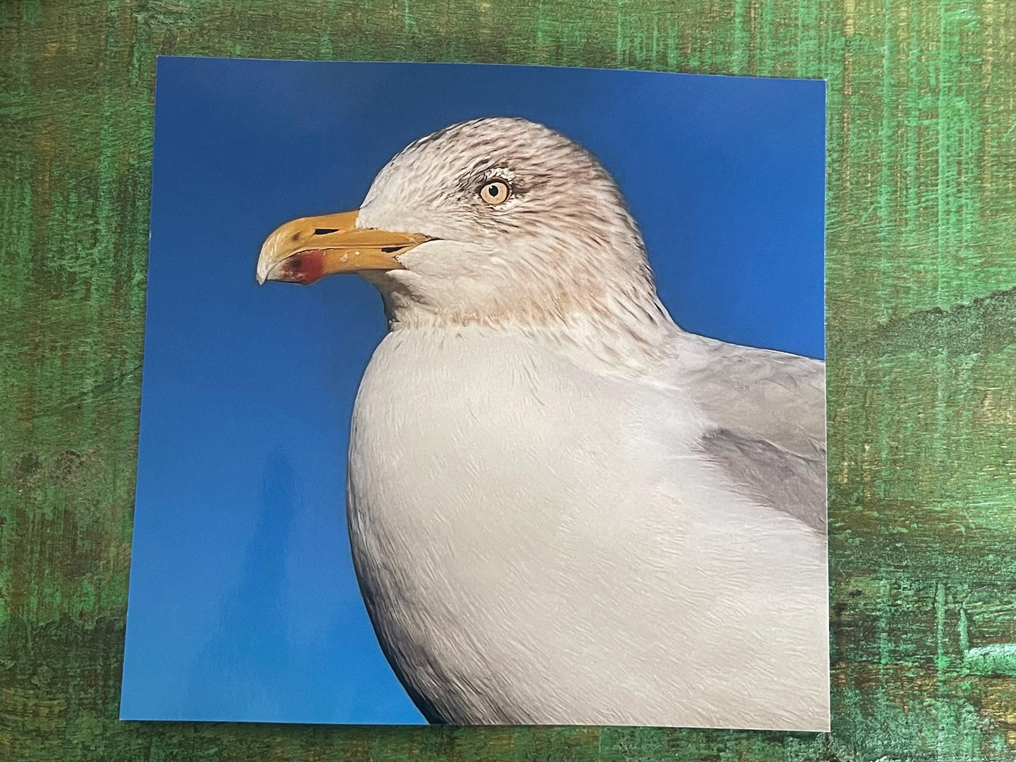 Seagull card, recycled card, birthday card, recycled card. Eco friendly card. Handmade card. Unusual Thank you card, blank gift card, bird