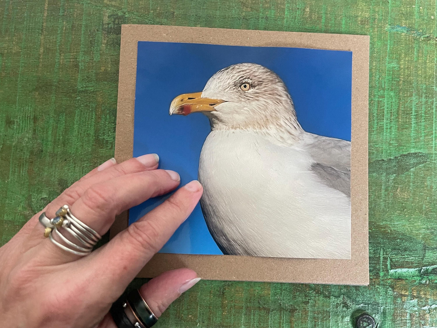 Seagull card, recycled card, birthday card, recycled card. Eco friendly card. Handmade card. Unusual Thank you card, blank gift card, bird