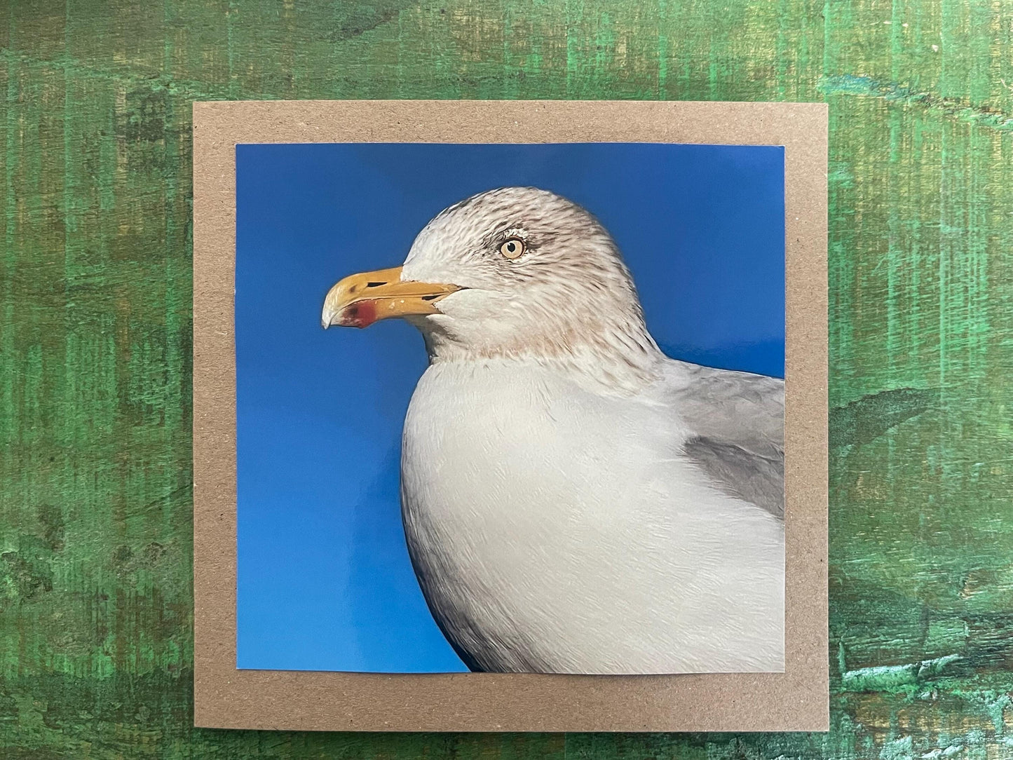 Seagull card, recycled card, birthday card, recycled card. Eco friendly card. Handmade card. Unusual Thank you card, blank gift card, bird