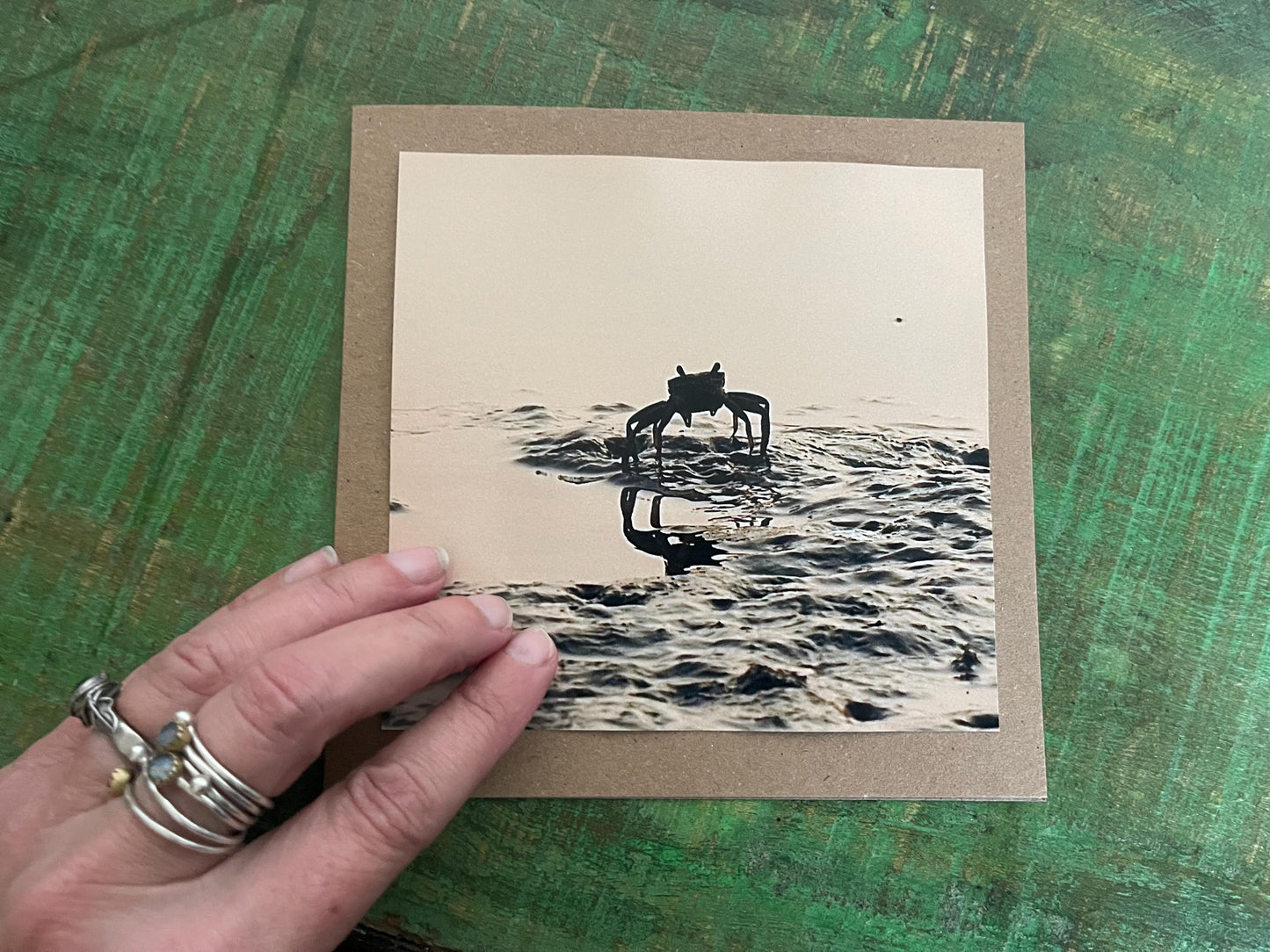 Crab in Sunset photo card. Handmade card, recycled card, beach card, birthday card, eco friendly cards, eco card, recycled card. Crabs