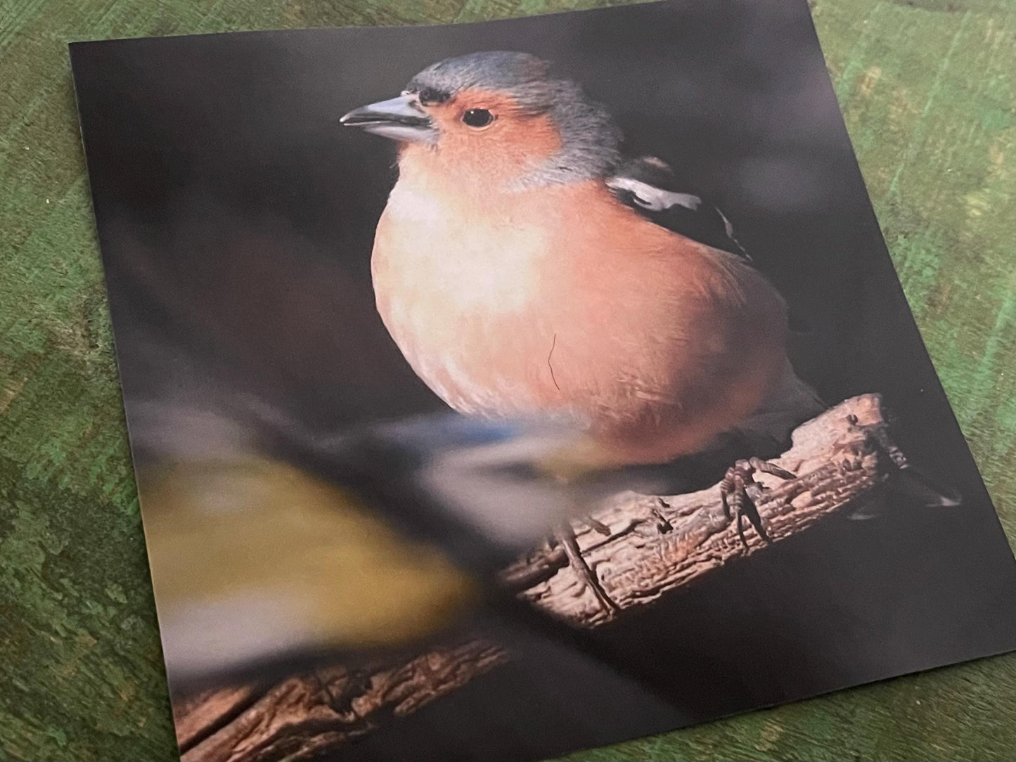 Chaffinch card, recycled card, birthday card, English bird card. Eco friendly card. Handmade card. Unusual Thank you card, blank gift card