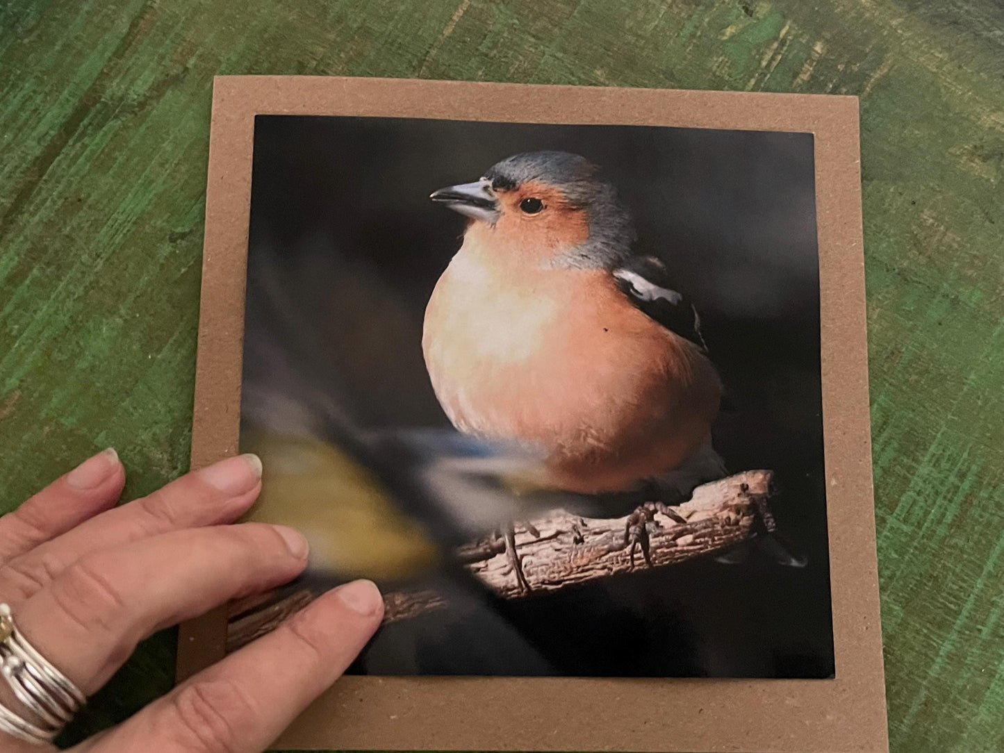 Chaffinch card, recycled card, birthday card, English bird card. Eco friendly card. Handmade card. Unusual Thank you card, blank gift card