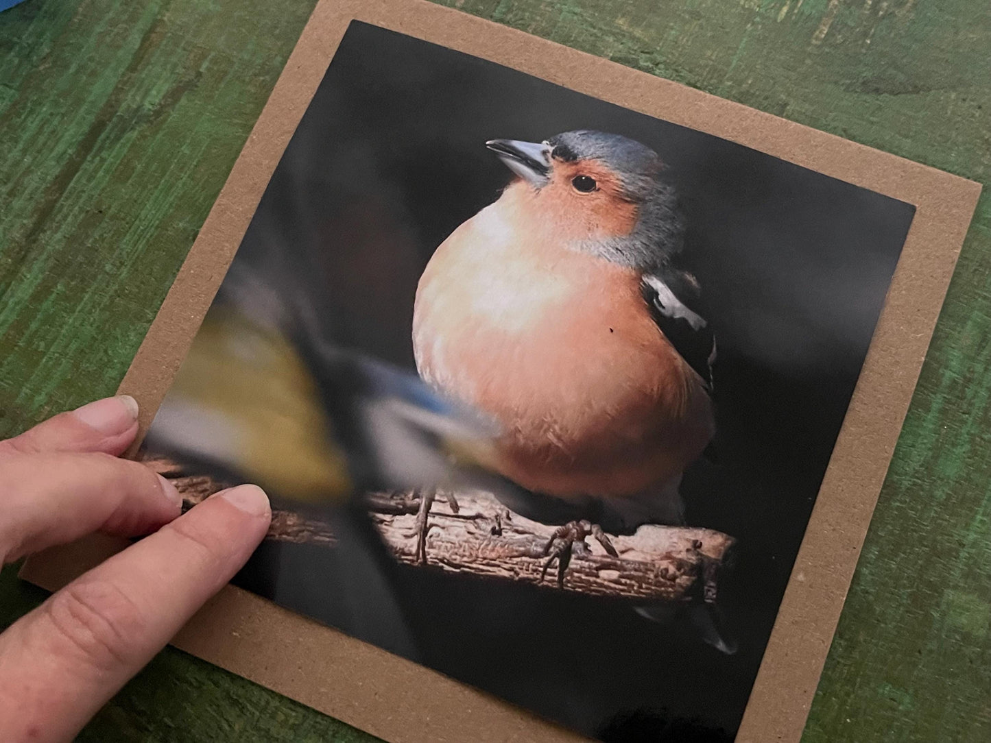 Chaffinch card, recycled card, birthday card, English bird card. Eco friendly card. Handmade card. Unusual Thank you card, blank gift card