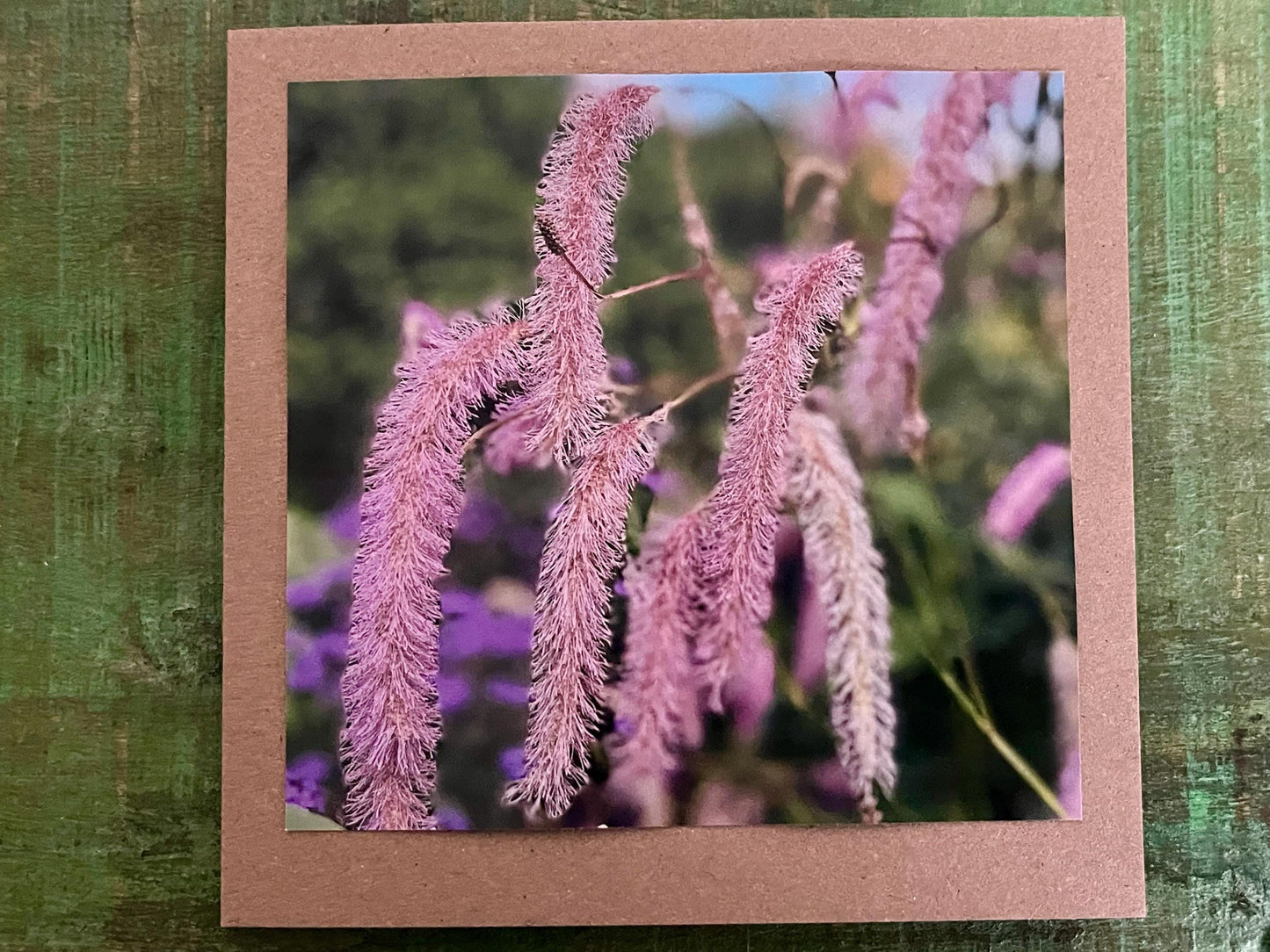 Flower card, handmade card for her. Recycled card, boho eco friendly card. Thank you card for gardener, gift for her, echinacea card