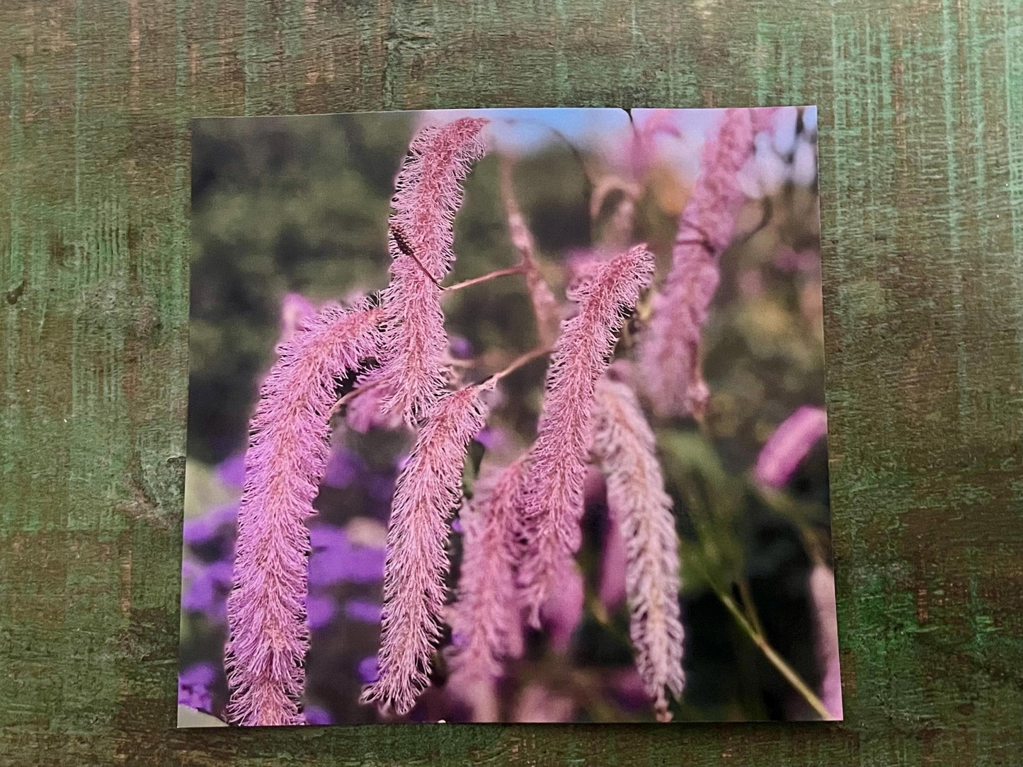 Flower card, handmade card for her. Recycled card, boho eco friendly card. Thank you card for gardener, gift for her, echinacea card