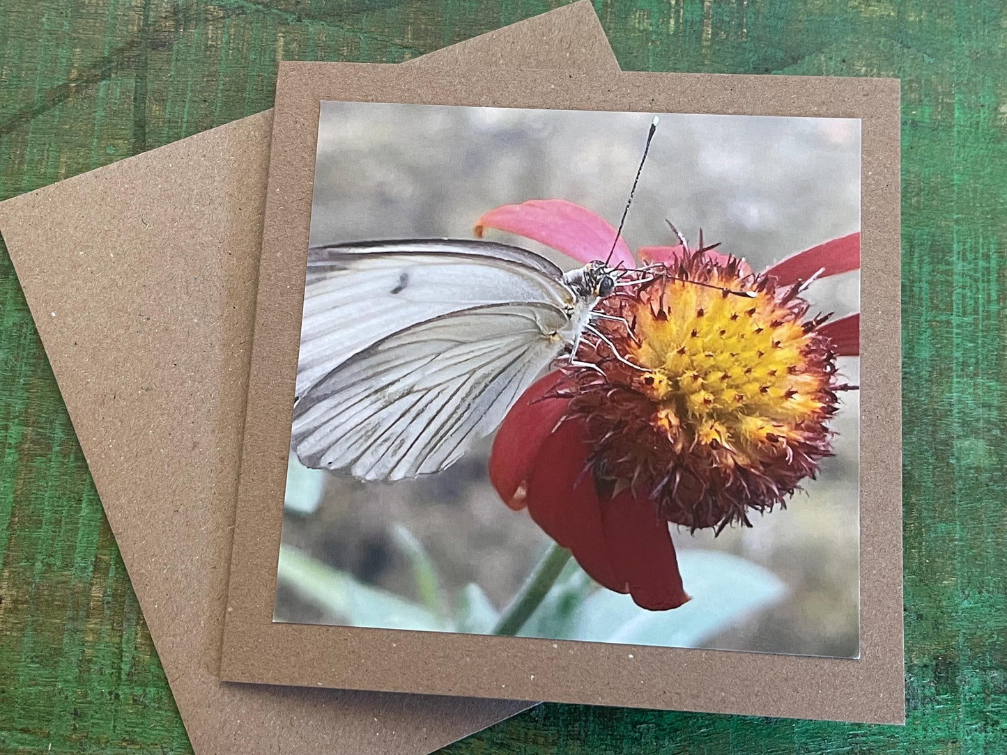 White butterfly card, recycled card, birthday card, wildlife card. Eco friendly card. Handmade card. Unusual card, Thank you card, eco card