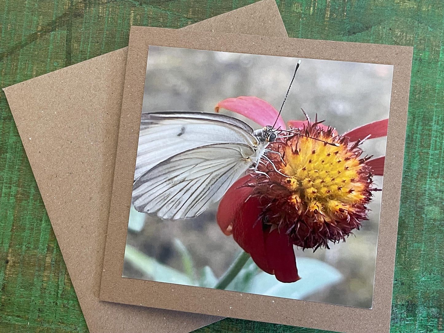 White butterfly card, recycled card, birthday card, wildlife card. Eco friendly card. Handmade card. Unusual card, Thank you card, eco card