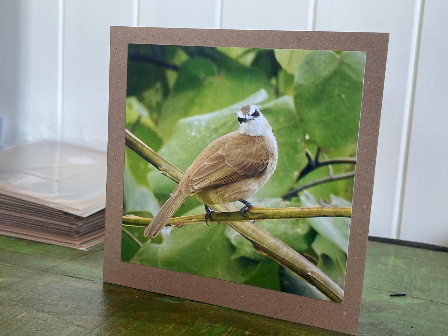 Yellow-vented bulbul card, recycled card, birthday card, English bird card. Eco friendly card. Handmade card. Unusual Thank you card, blank