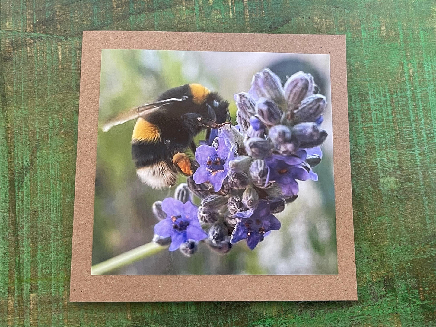 Bee card, recycled card, birthday card. Eco friendly card. Handmade card. Thank you card, blank gift card, English nature card, gift for her