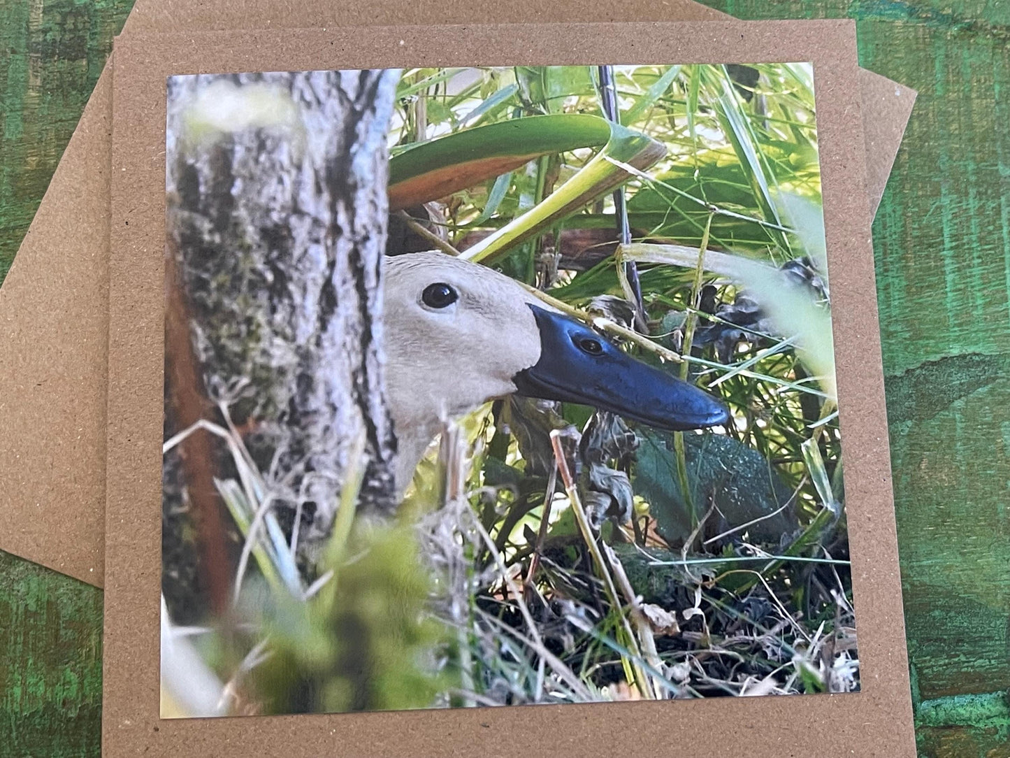 Puddle duck card, bird card, nature card, handmade card, photo card, thank you card. Easter card, birthday card. Blank gift card, wildlife