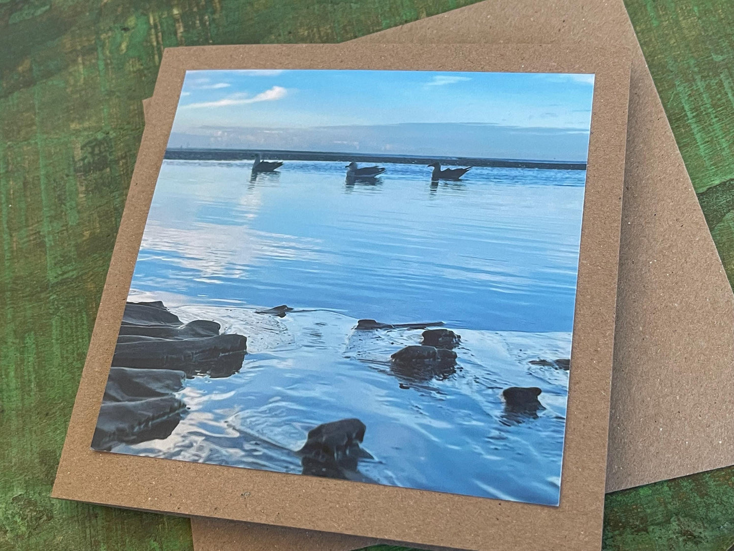 Seagull card, recycled card, birthday card, recycled card. Eco friendly card. Handmade card. Unusual Thank you card, blank gift card, bird