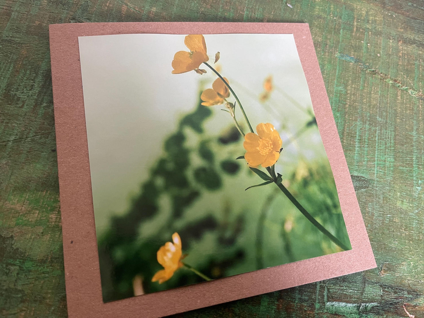 Natural photography card, recycled card, birthday card, wildlife card. Eco friendly card. Handmade card. Buttercup card, Thank you card.