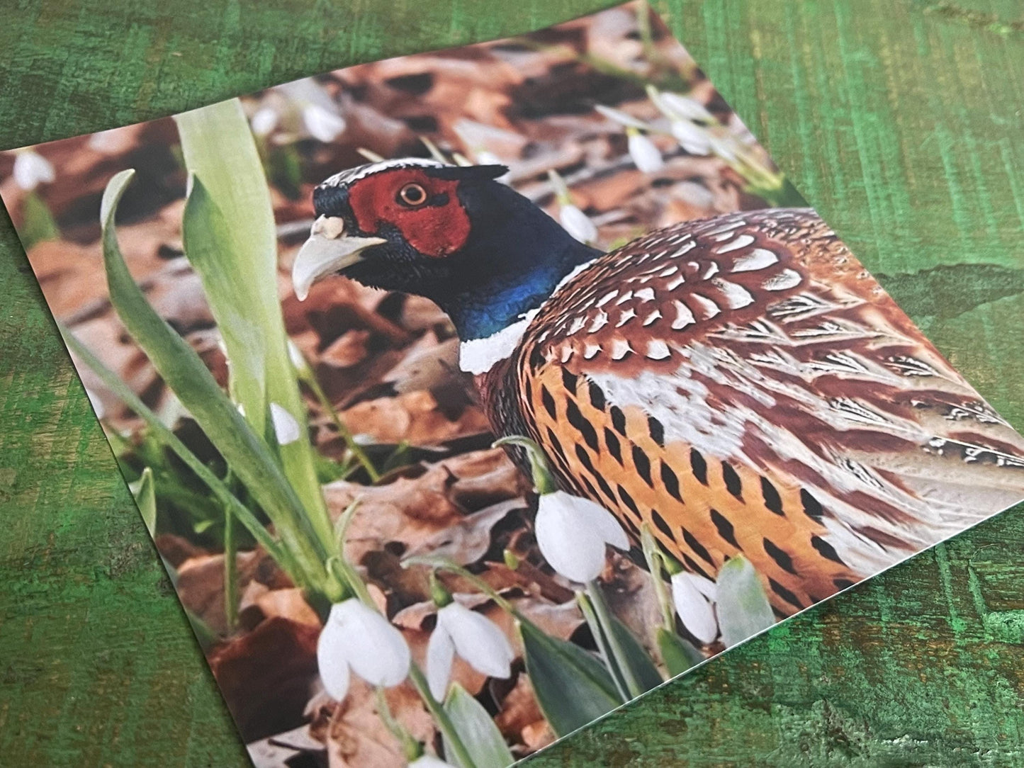 Pheasant card, recycled card, birthday card, English bird card. Eco friendly card. Handmade card. Unusual Thank you card, blank gift card