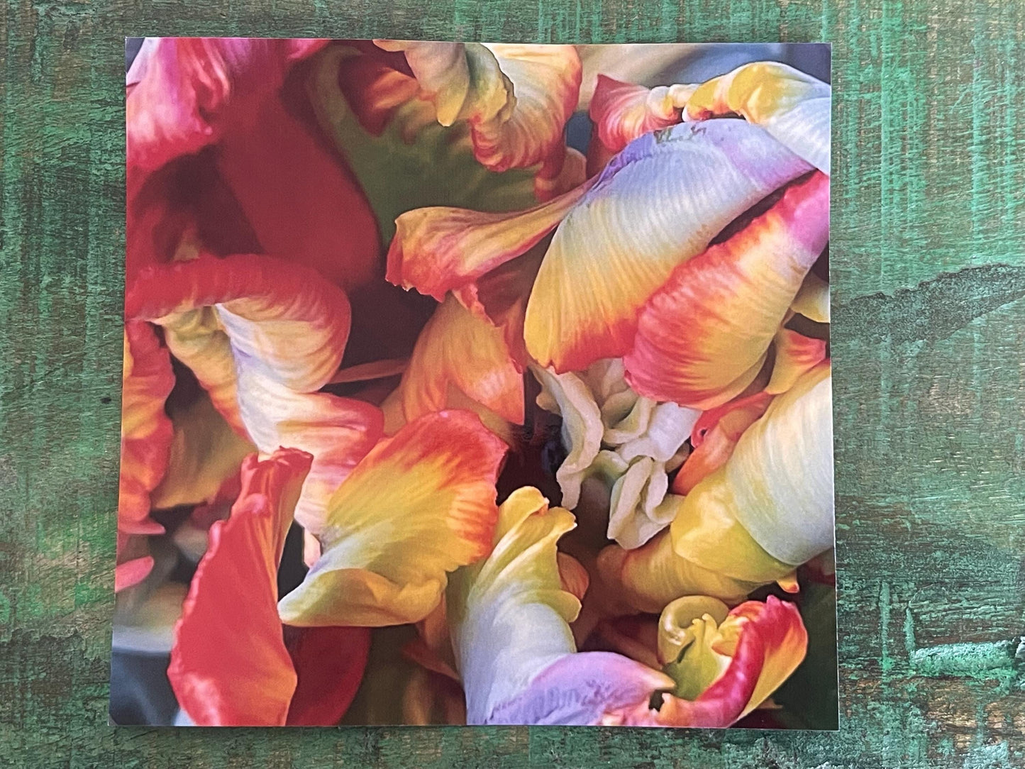 Flower card, handmade card for her. Recycled card, boho eco friendly card. Thank you card for gardener, gift for her, echinacea card