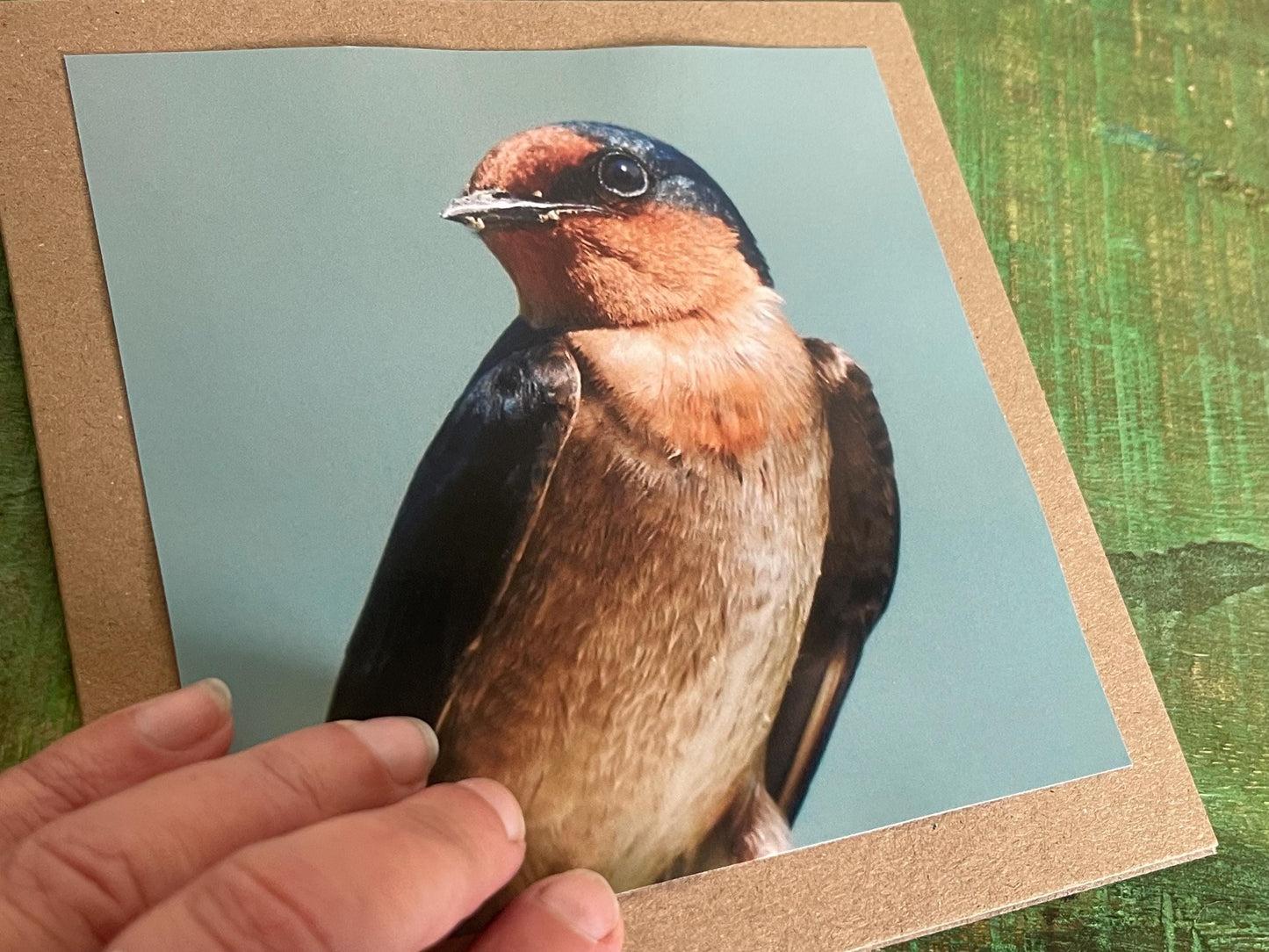 Wildlife photography card, birthday card, bird card. Eco friendly card. Handmade card.  Thank you card, blank card. Bird photo. Ethical card